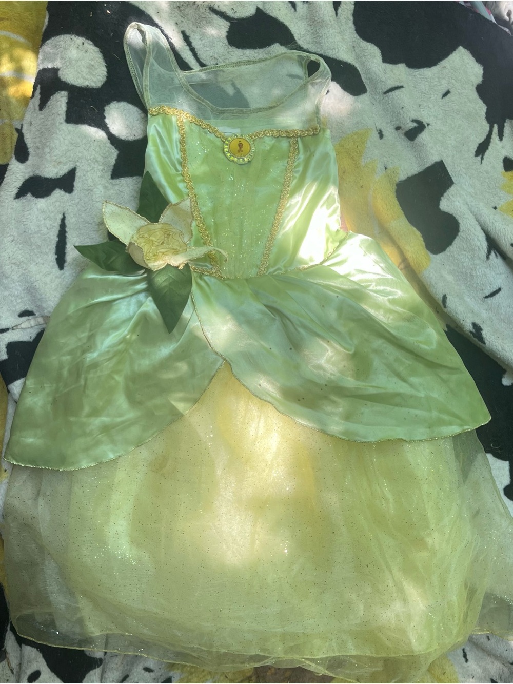 Disney Princess Dress
